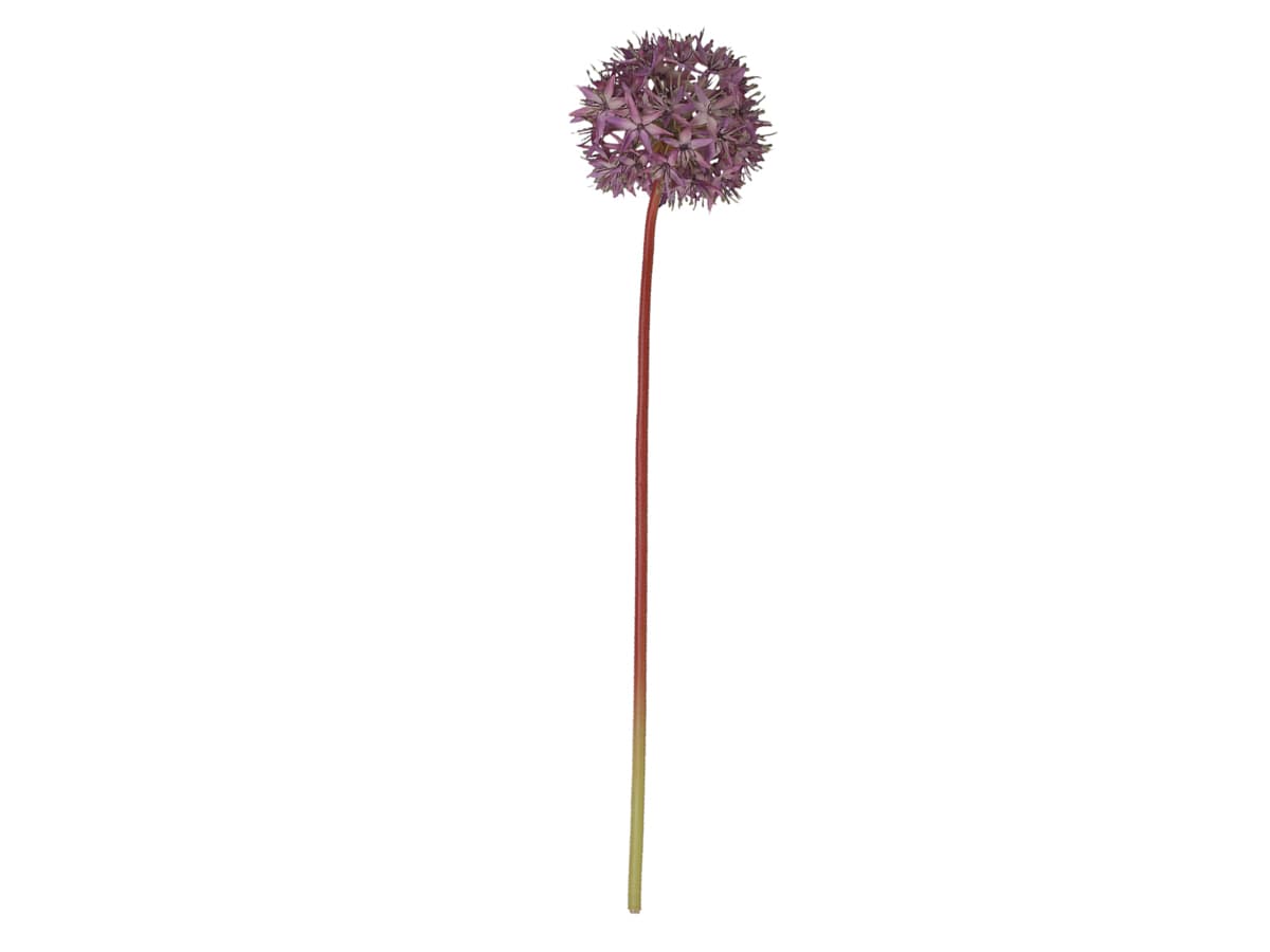 Chic Antique - Kunstig Allium blomst L58 cm. -logo