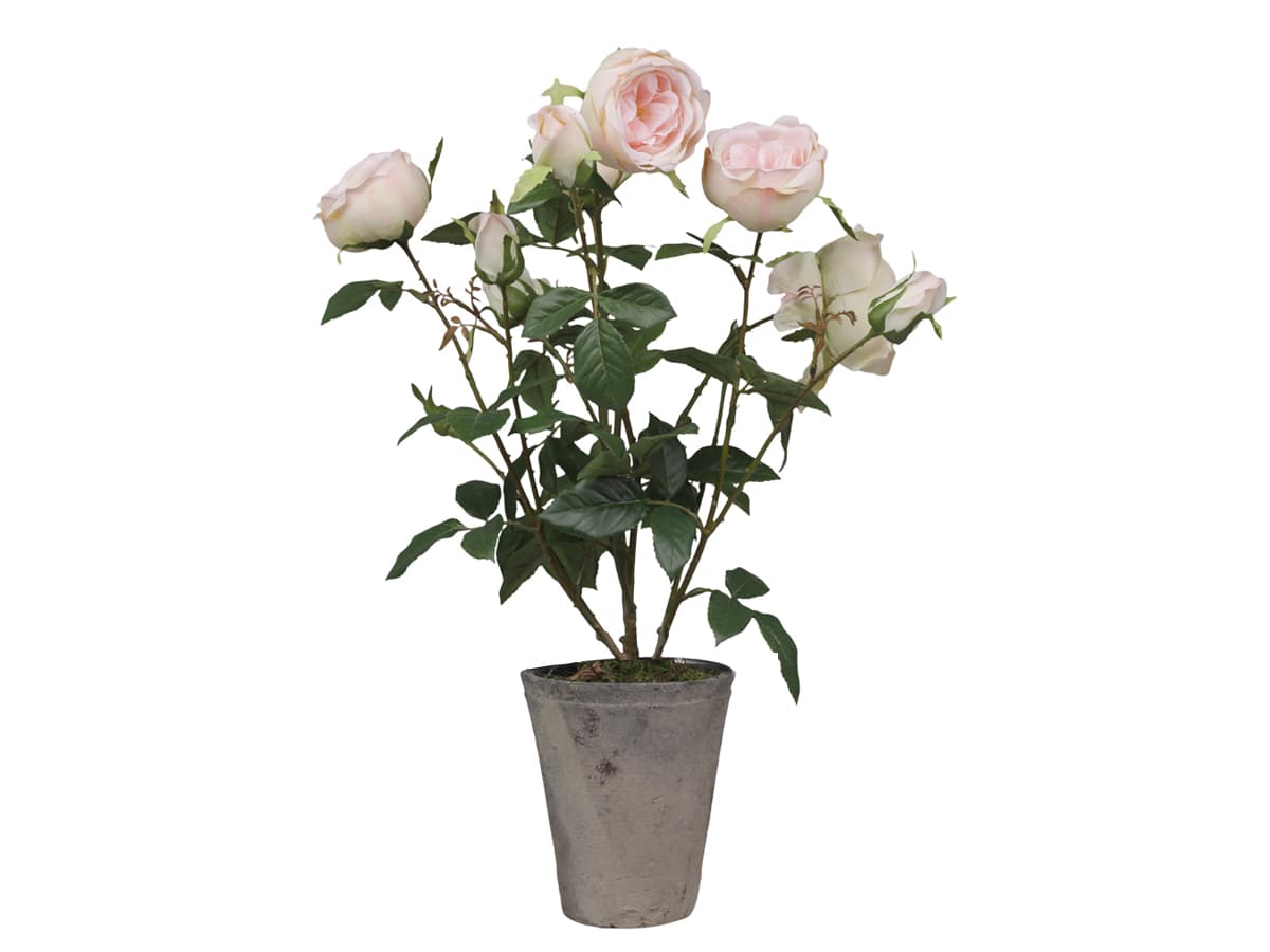 Chic Antique - Kunstig blomst, rose keramik potte-logo