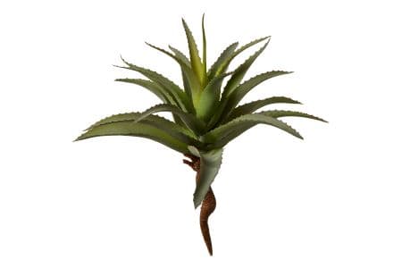 Speedtsberg - Kunstig Aloe Vera H35cm.-logo