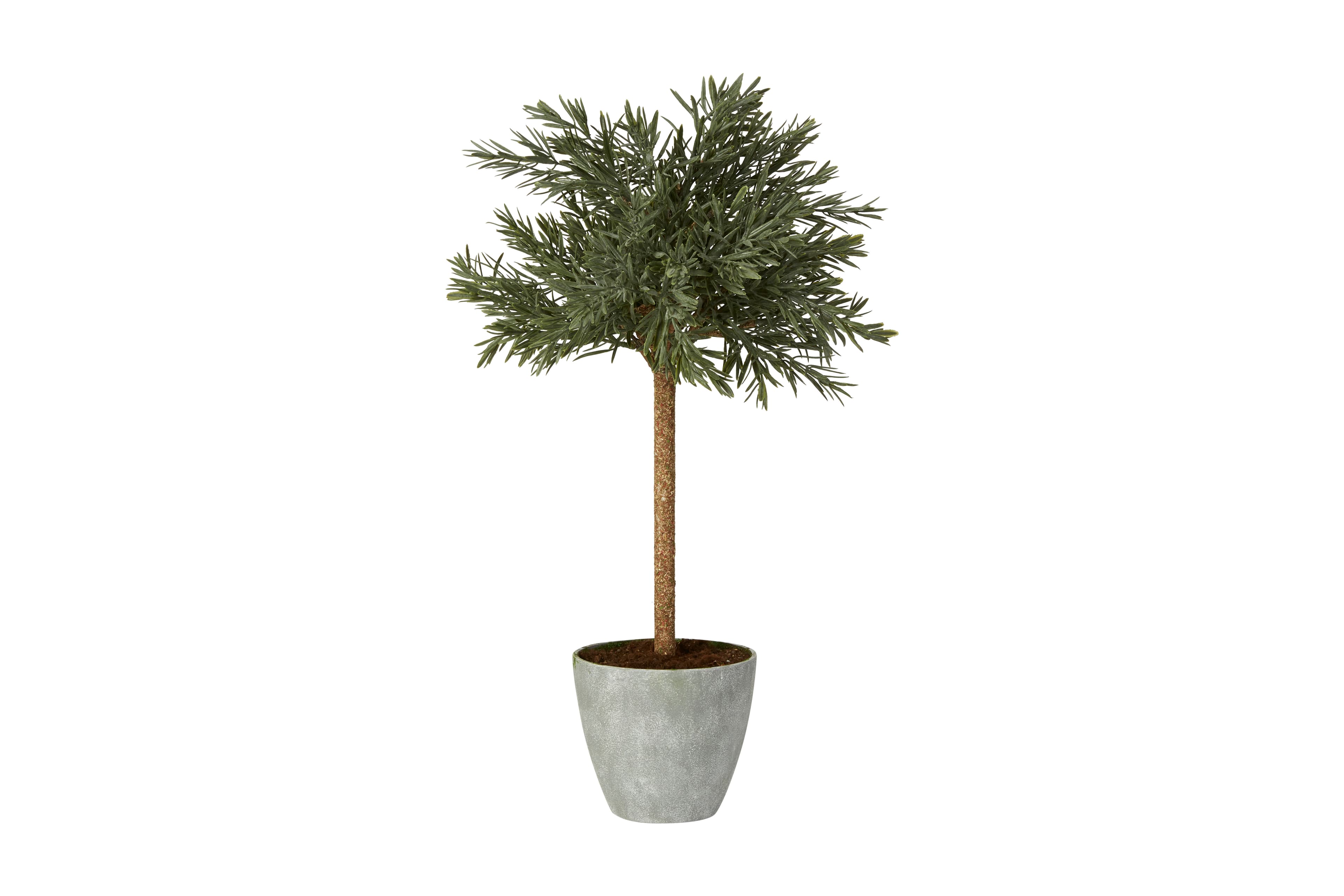 Speedtsberg - Kunstig potteplante H65cm. 