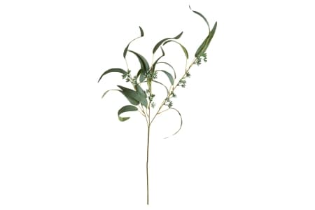 Speedtsberg Eukalyptus gren L: 78cm. -logo