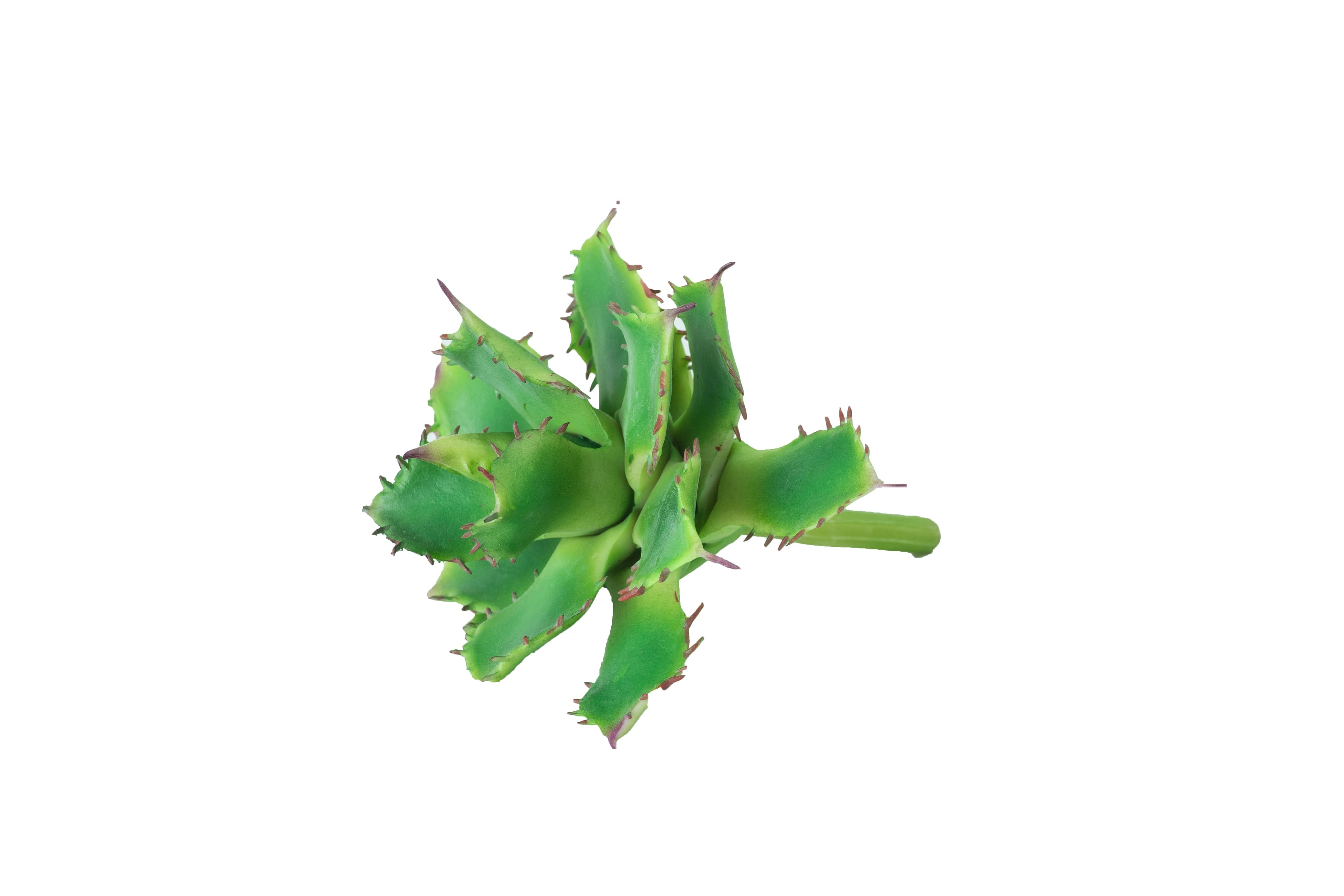 Speedtsberg - Kunstig Aloe Vera 15cm.-logo