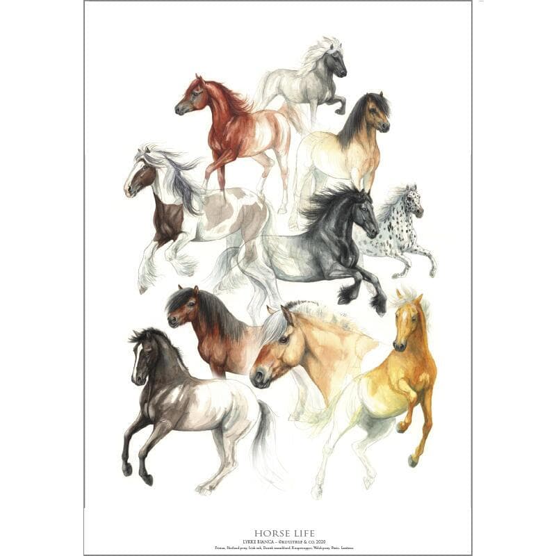 Koustrup & Co - Plakat "Horse Life" A2 -logo