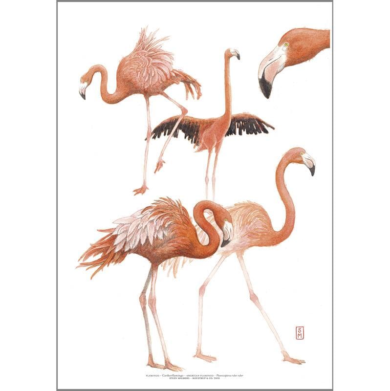 Koustrup & Co - Kunsttryk "Flamingo" A3-logo