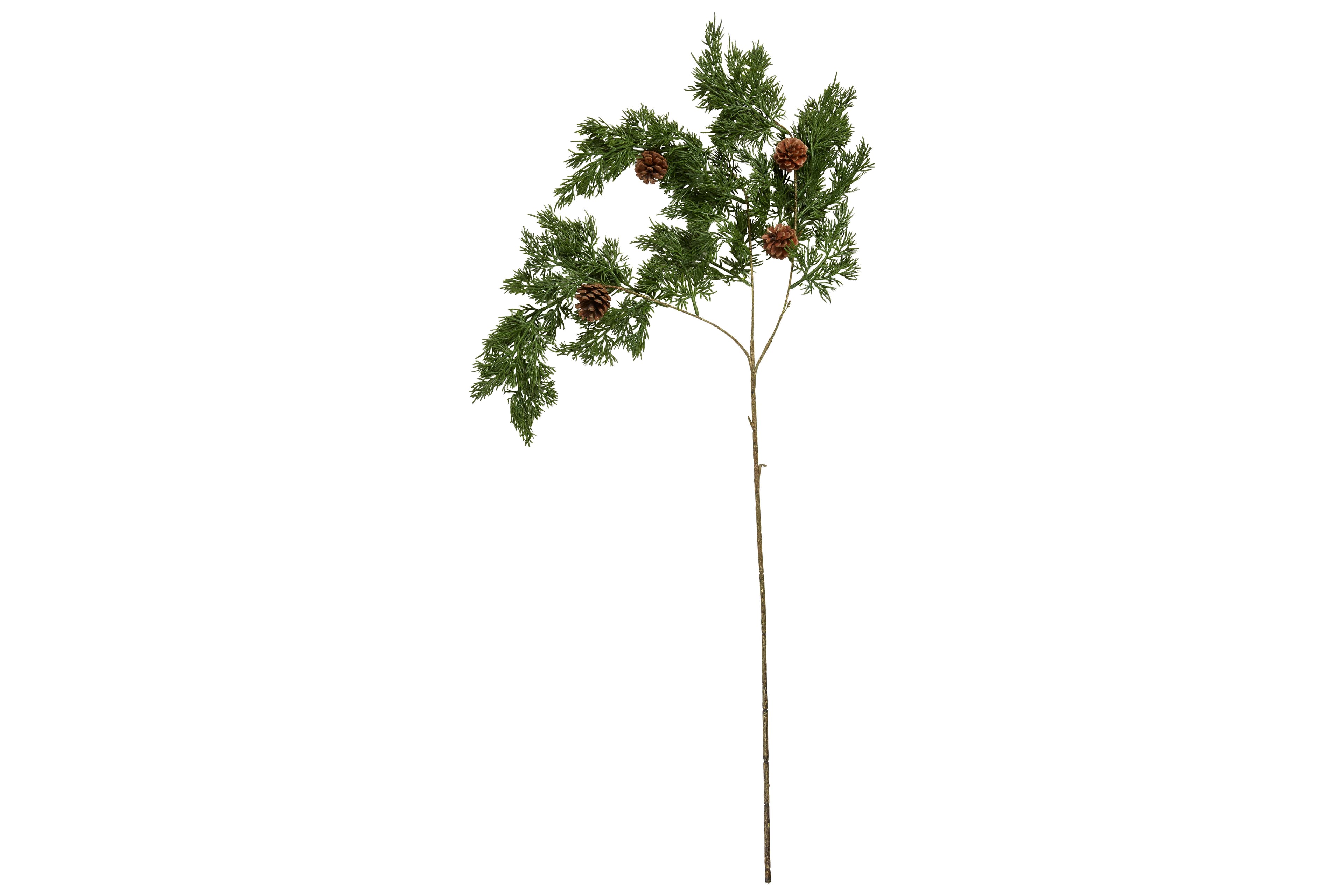 Speedtsberg Thuja gren m/kogler L 95cm. -logo